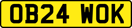 OB24WOK
