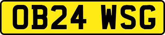OB24WSG