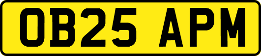 OB25APM