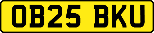 OB25BKU