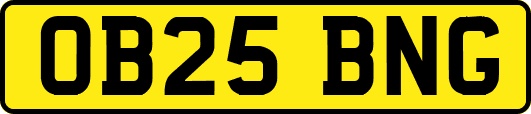 OB25BNG