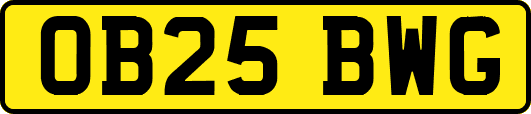 OB25BWG
