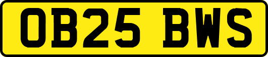 OB25BWS