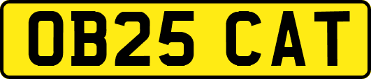 OB25CAT