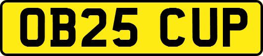 OB25CUP