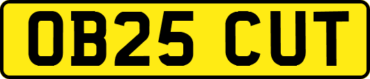 OB25CUT