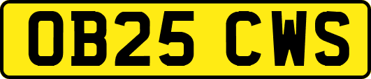 OB25CWS