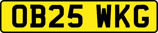 OB25WKG