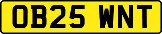 OB25WNT