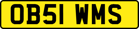 OB51WMS