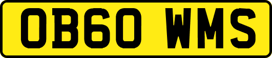 OB60WMS