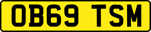 OB69TSM