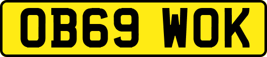 OB69WOK