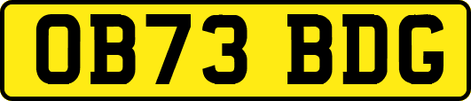 OB73BDG