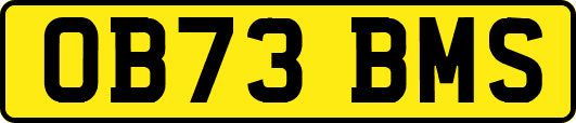 OB73BMS