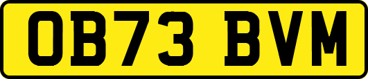 OB73BVM