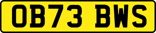 OB73BWS