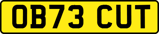 OB73CUT