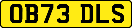 OB73DLS
