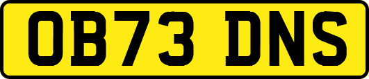 OB73DNS