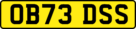 OB73DSS
