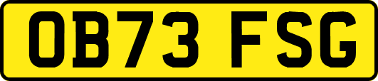 OB73FSG