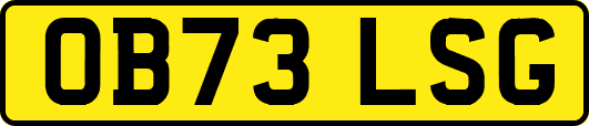OB73LSG
