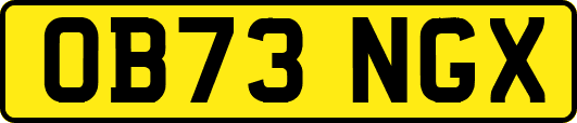 OB73NGX