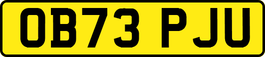OB73PJU