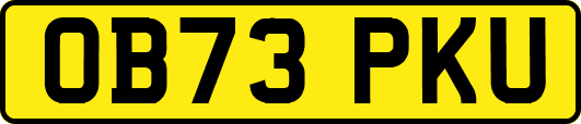 OB73PKU