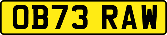 OB73RAW