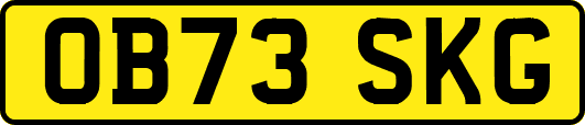 OB73SKG
