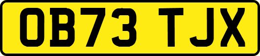 OB73TJX