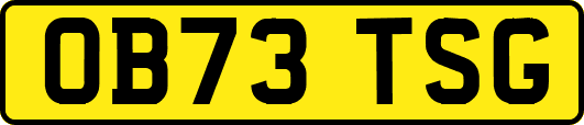 OB73TSG