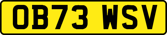 OB73WSV