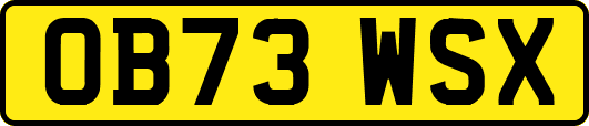 OB73WSX