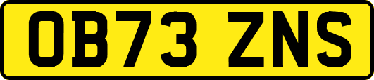 OB73ZNS