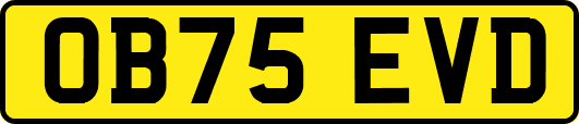 OB75EVD