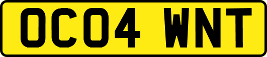 OC04WNT