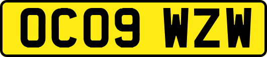 OC09WZW
