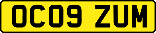 OC09ZUM