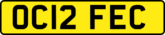 OC12FEC