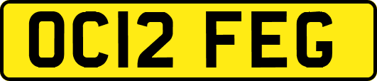 OC12FEG