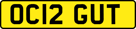 OC12GUT