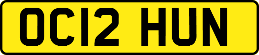 OC12HUN