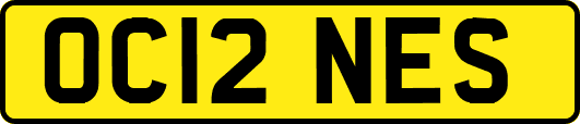 OC12NES
