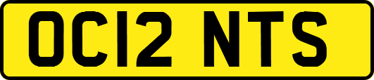 OC12NTS