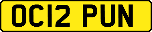 OC12PUN