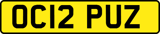 OC12PUZ