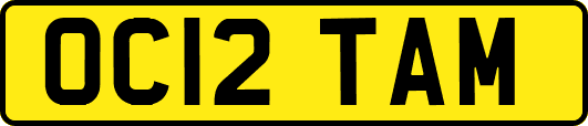 OC12TAM